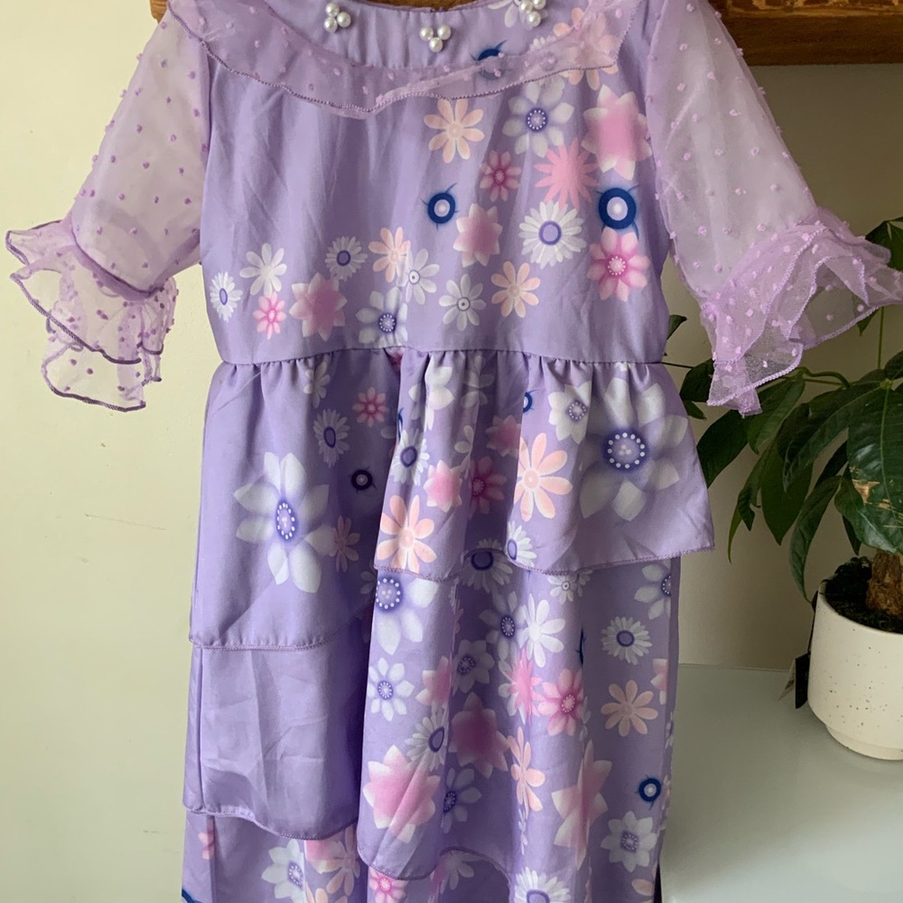 Encanto Costume size 5t